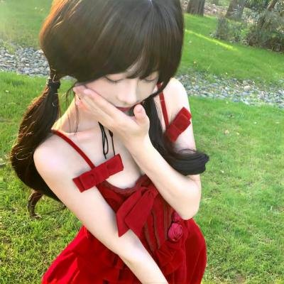 亚西西的圣方济各